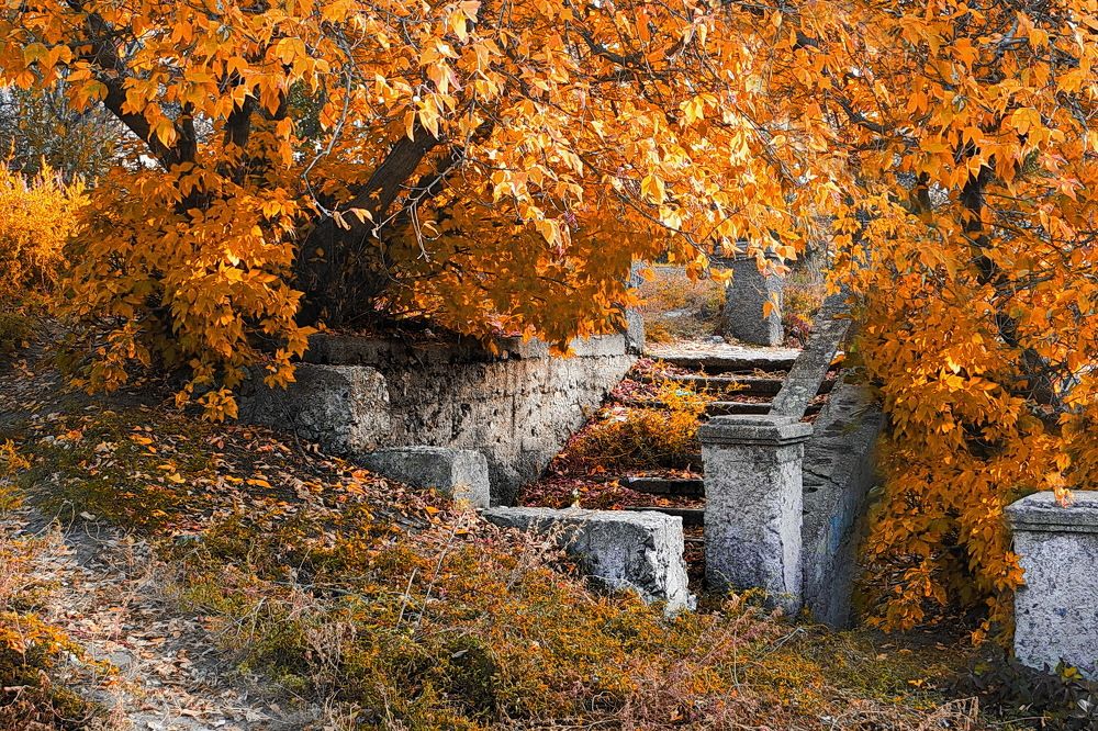 Photograph by Сергей Фунтовой