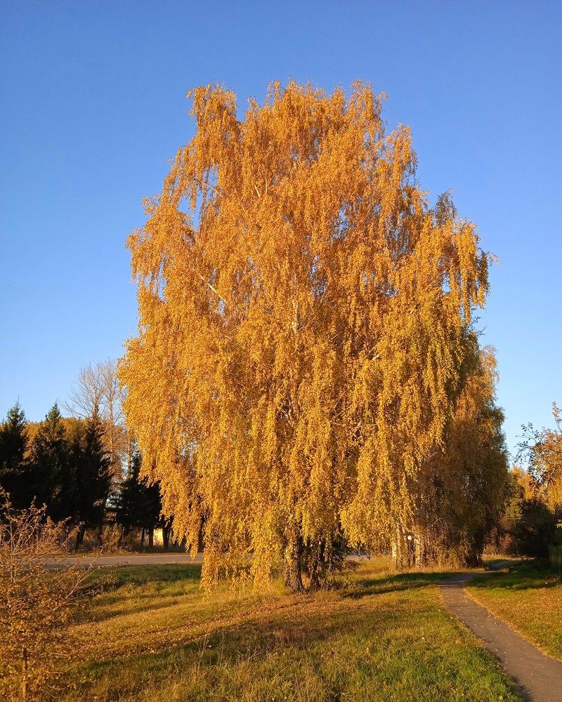 Photograph by Анна