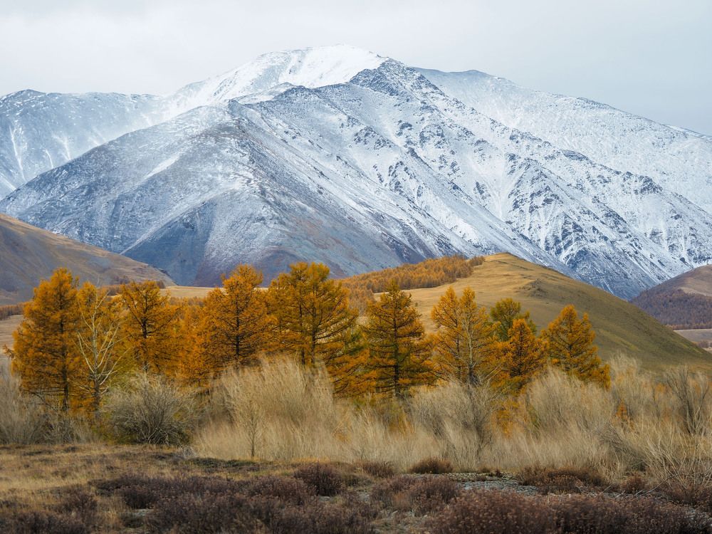 Photograph by Михаил Рябинин