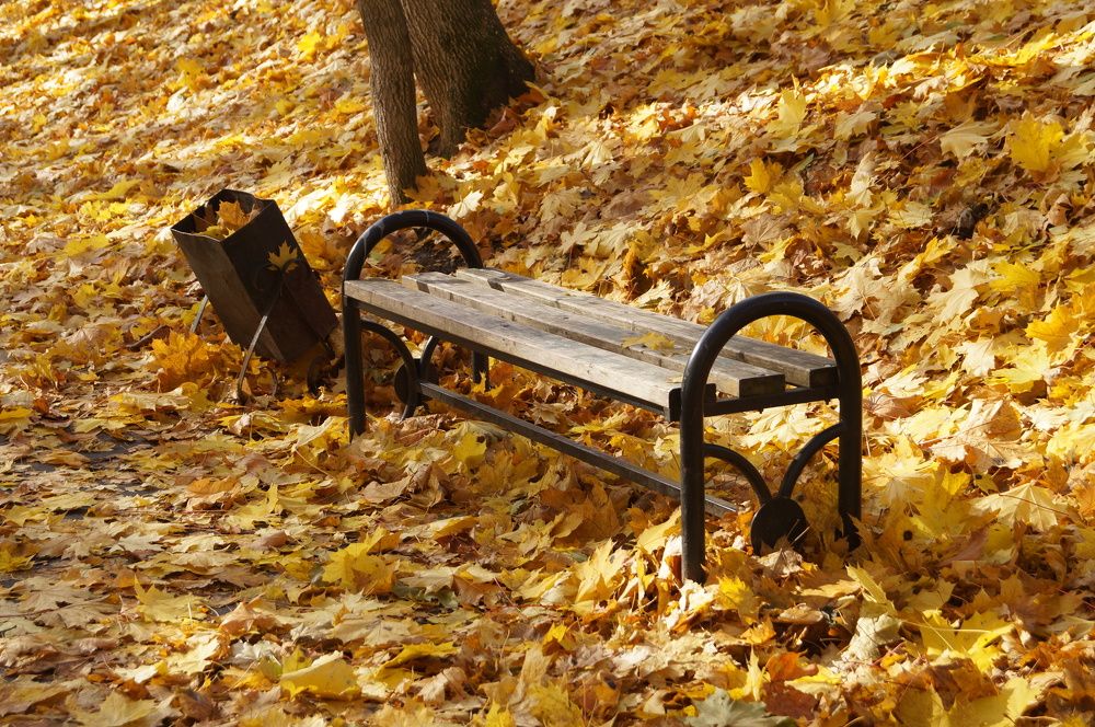 Photograph by Анна