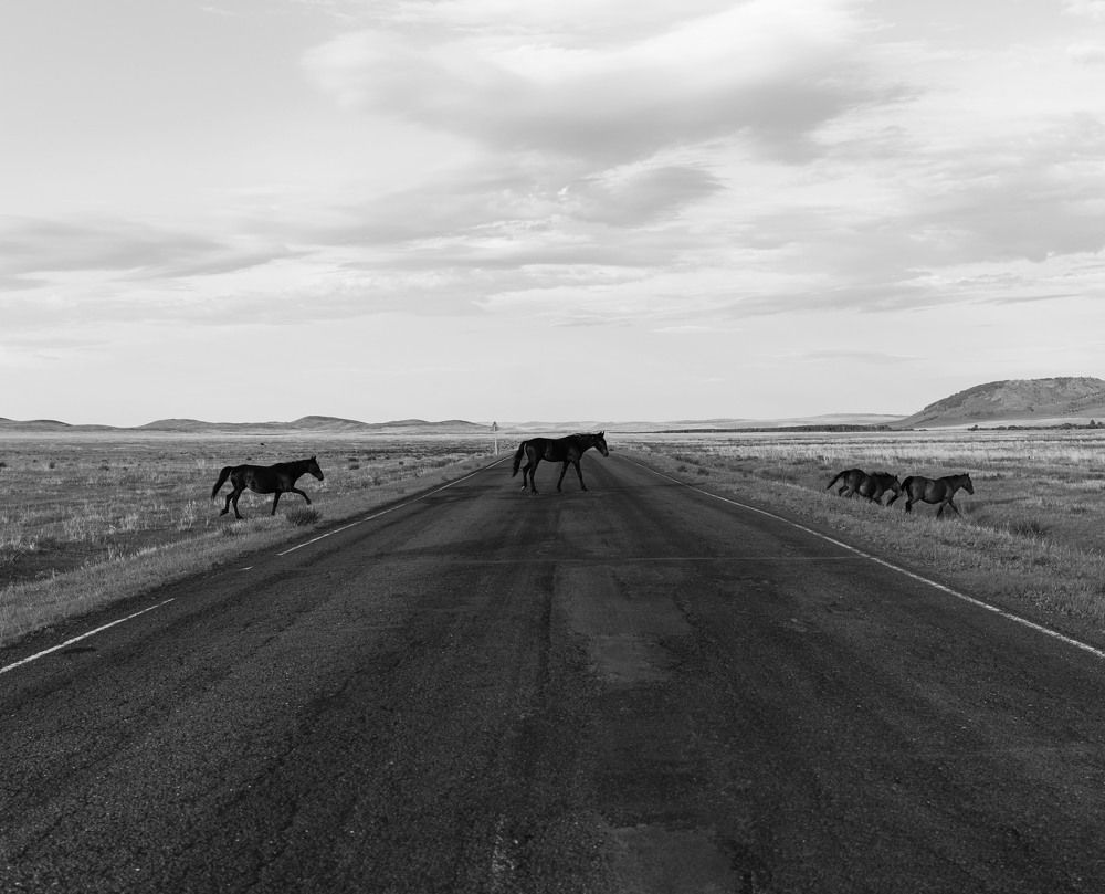 Photograph by Александра Гончаренко