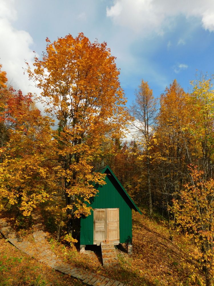 Photograph by Чкареули Светлана