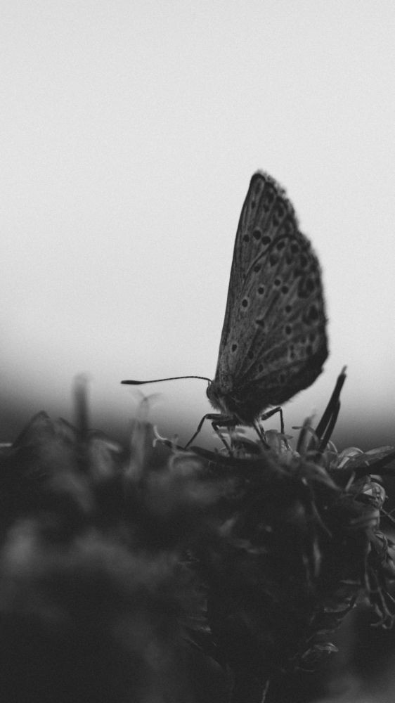 Photograph by Антон Истомин