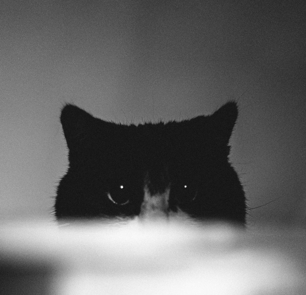 Photograph by Антон Истомин