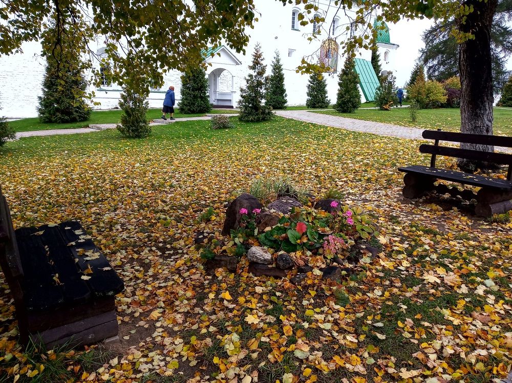 Фотография автора Ольга Малкова