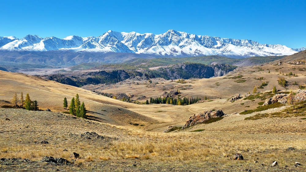 Photograph by Александр Потапов