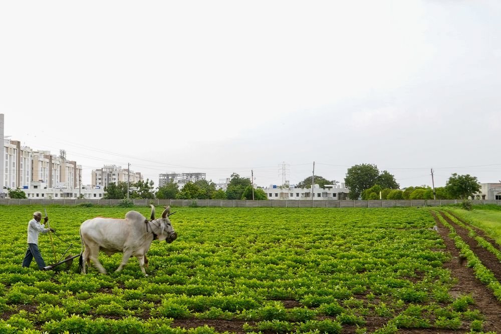 Photograph by Chintan Vyas