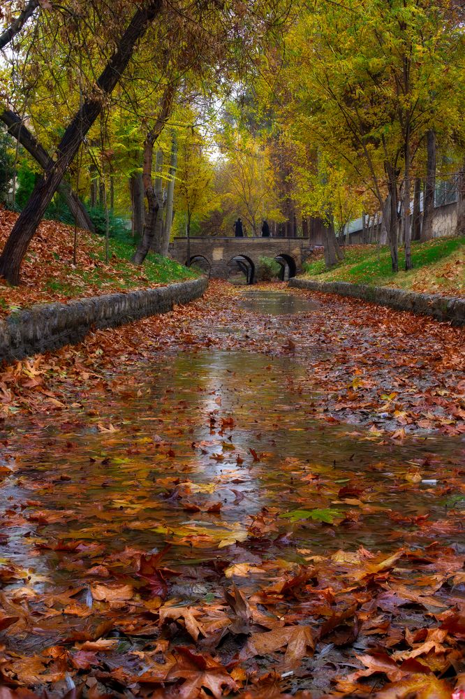 Photograph by Hamid Espanani