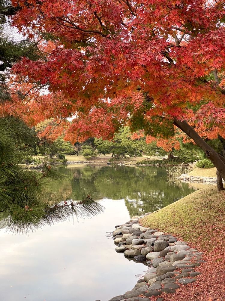 Фотография автора Бакалова Ирина