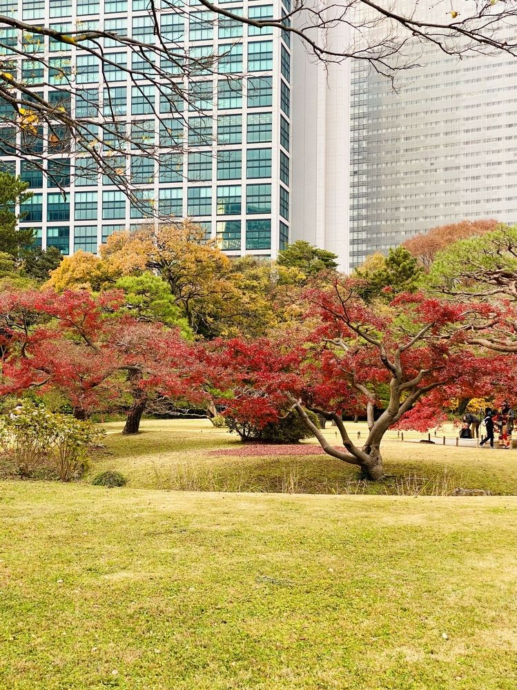 Фотография автора Бакалова Ирина