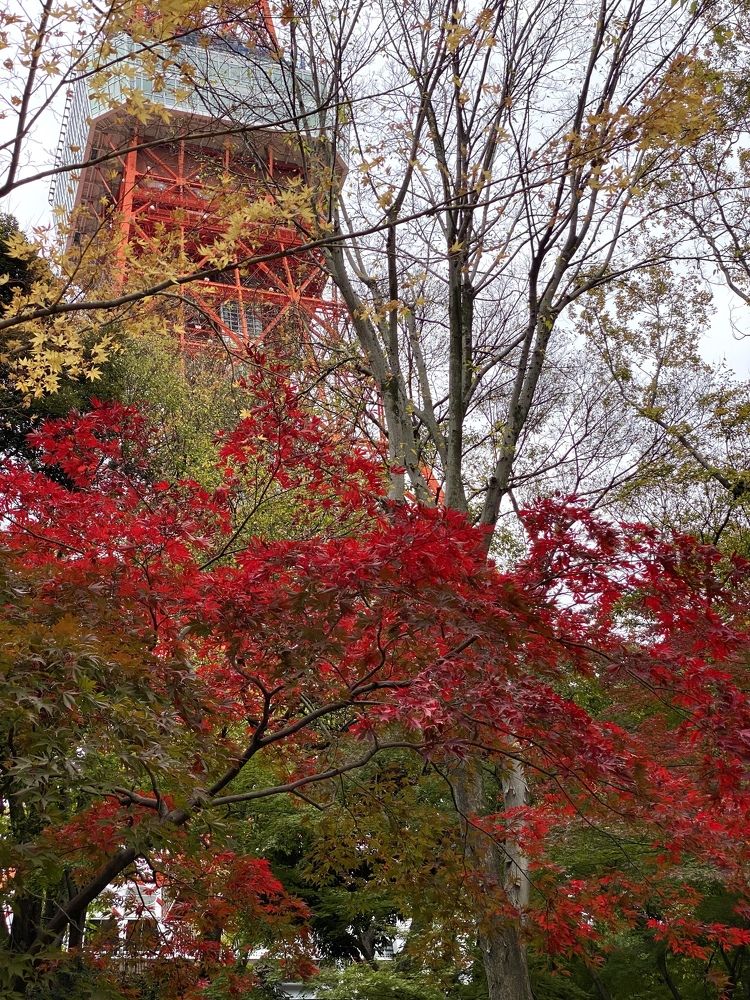 Фотография автора Бакалова Ирина