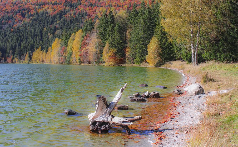 St. Anne's Lake 2021