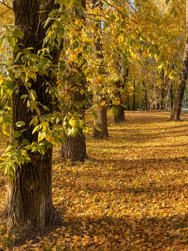 Photograph by Анна Колесниченко