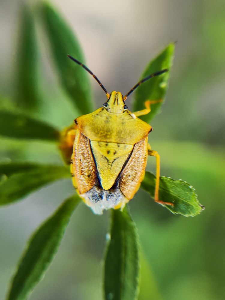 Photograph by Ирина Шибитова