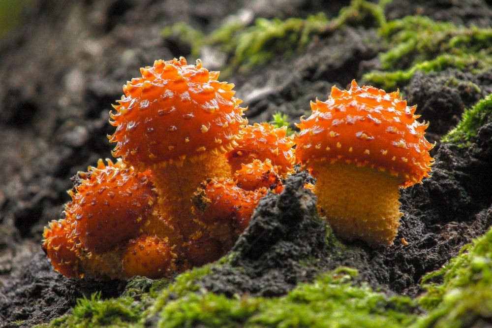 Photograph by Андрей Егоров