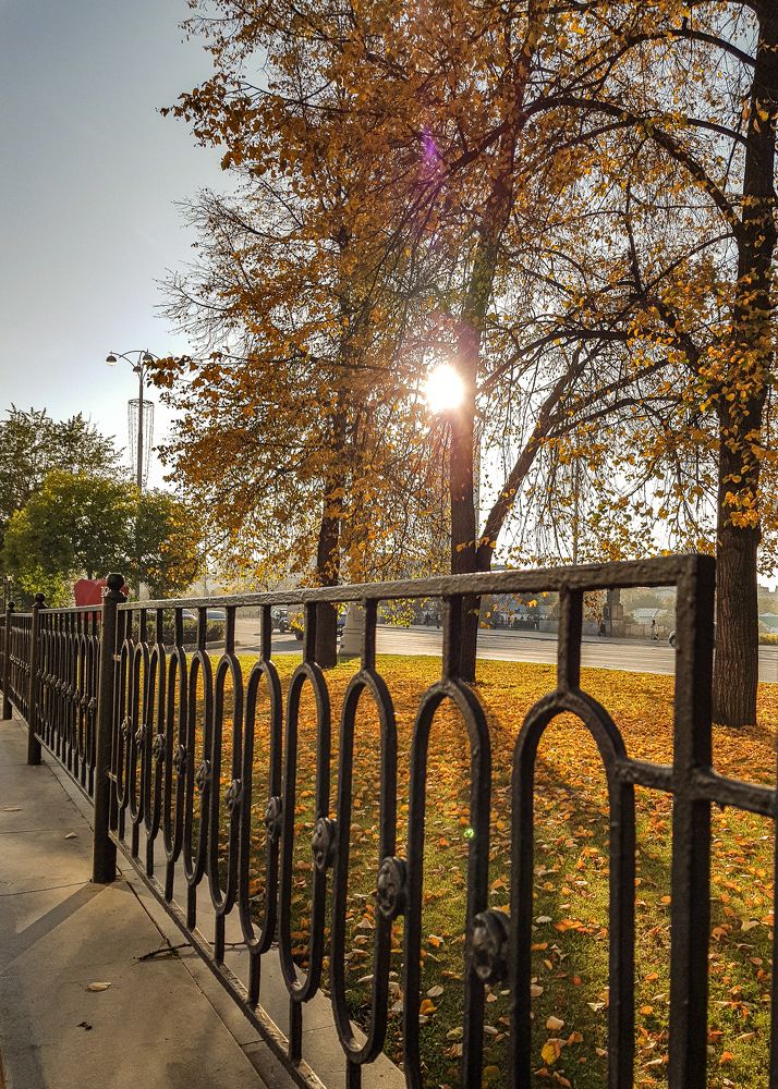 Photograph by Елена