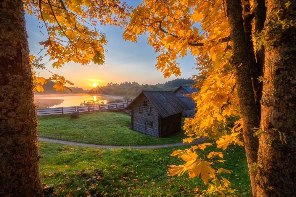 Фотография автора Александр Пашеничев