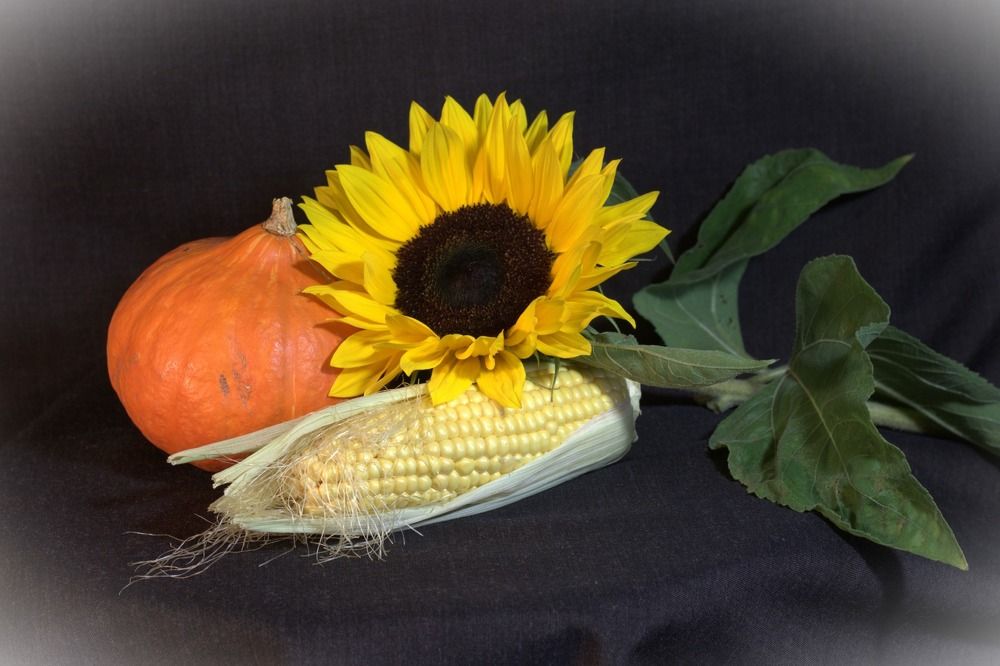 Photograph by Светлана Соколова