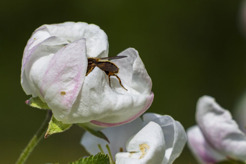 Photograph by Sergey Tsubanov