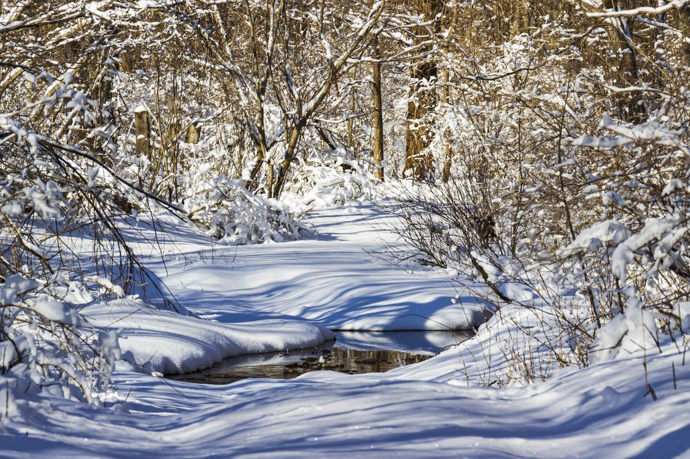 Photograph by Sergey Tsubanov