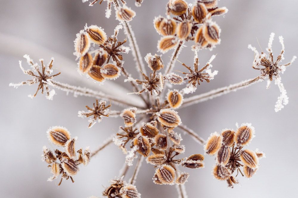 Photograph by Андрей Егоров