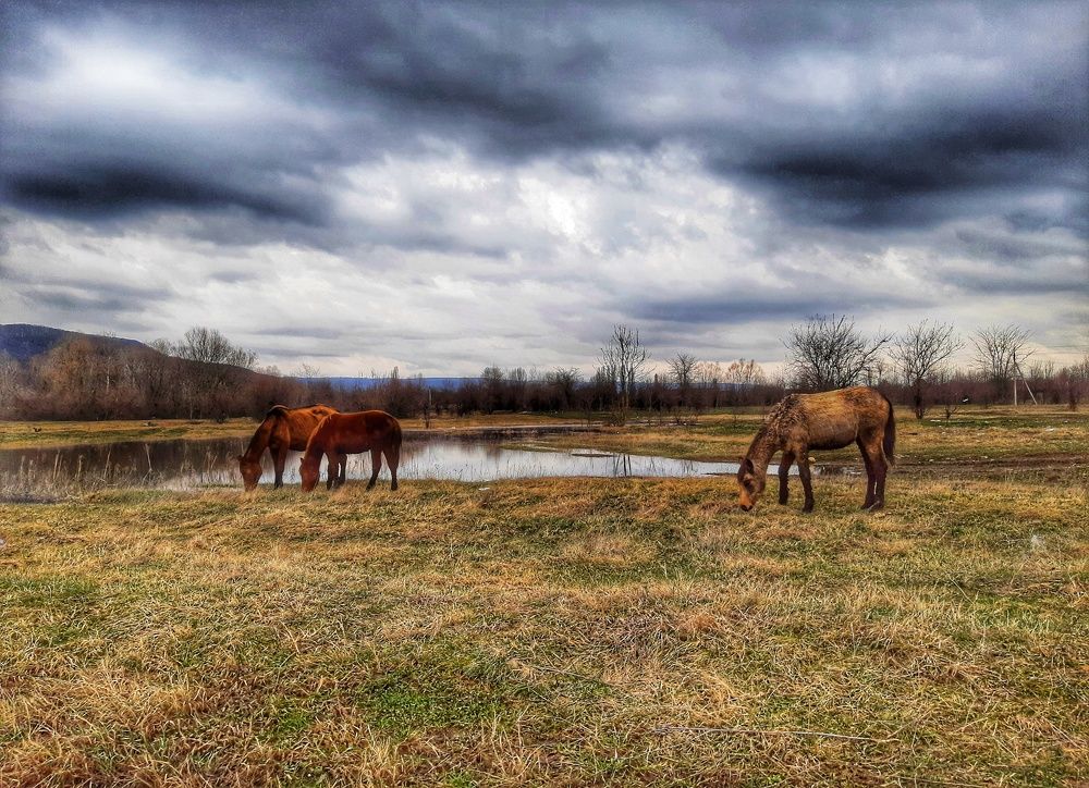 Photograph by Юлия Коробкова