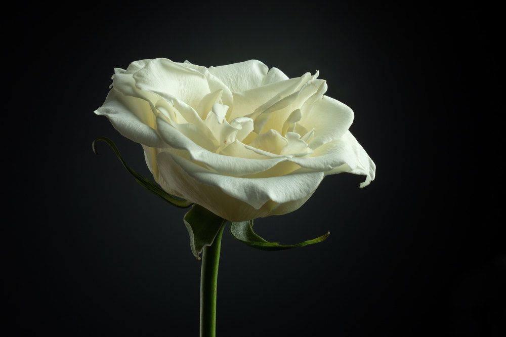 Photograph by Андрей Егоров