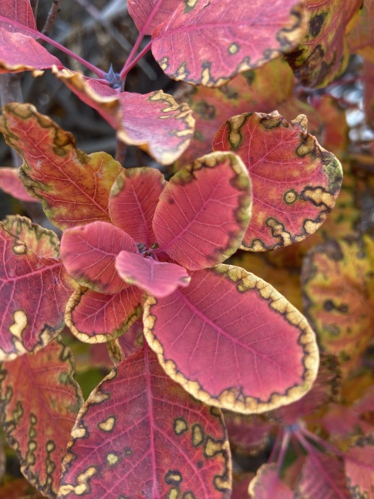 Photograph by Ирина Молибог