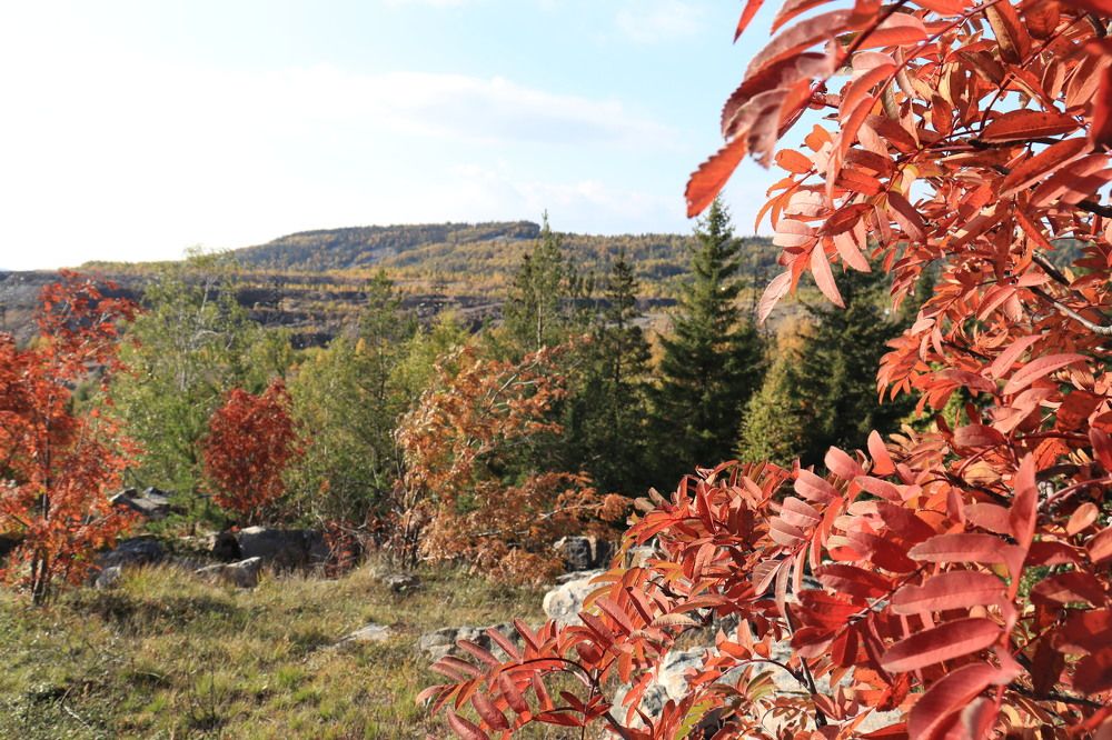Photograph by Надежда Ключкина