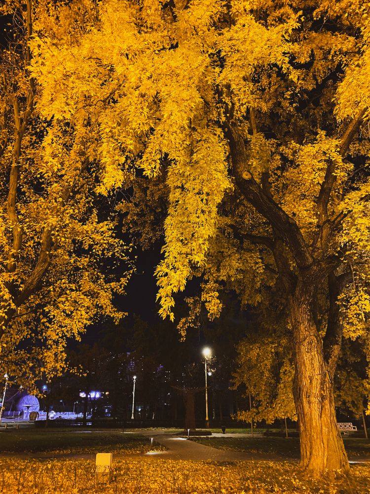 Photograph by Марина