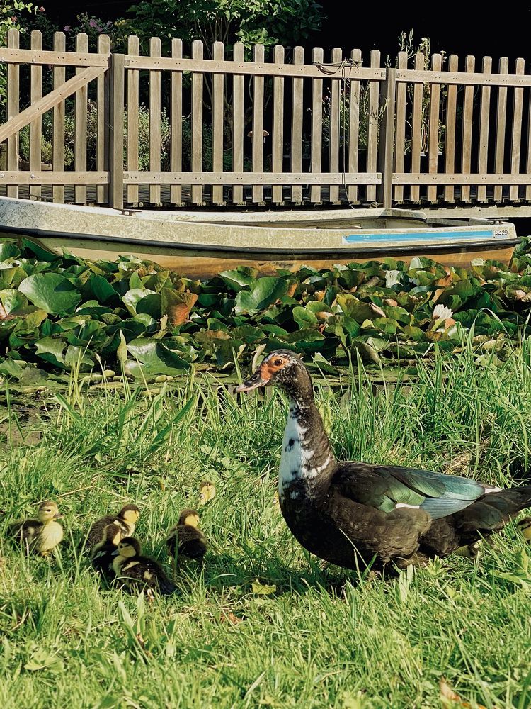 Фотография автора Александр Заикин