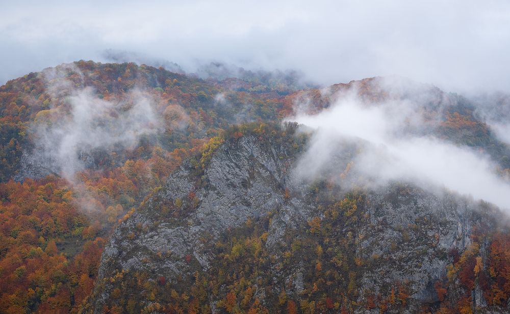 Photograph by Alexandru Pavel