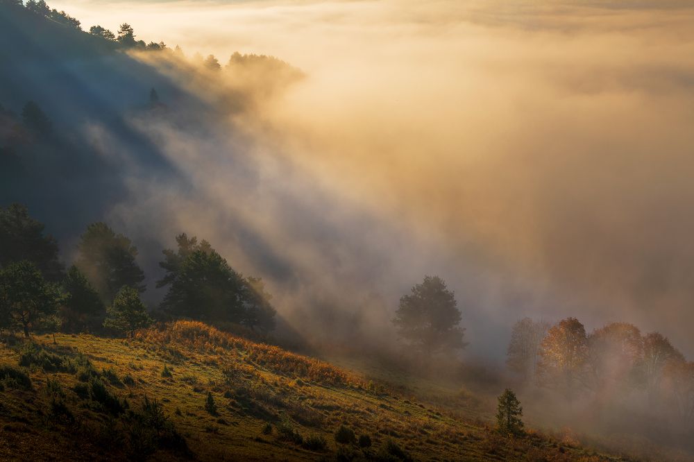 Photograph by Lubomir Perunko
