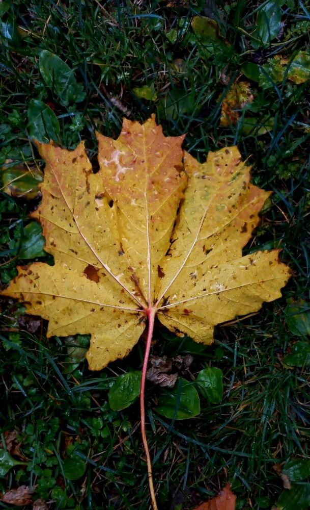 Photograph by Каковкина Ольга