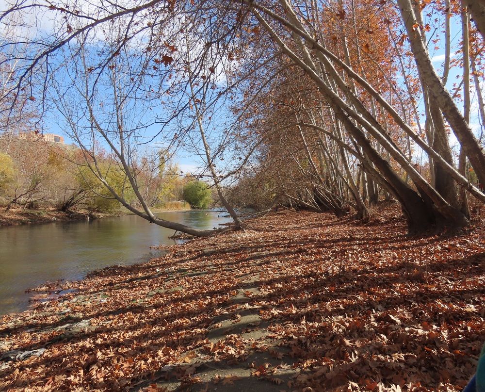 Photograph by mahboube moradalizade