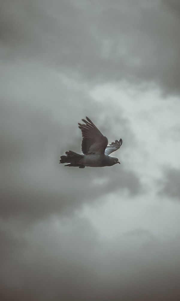 Photograph by Mohammad Javady