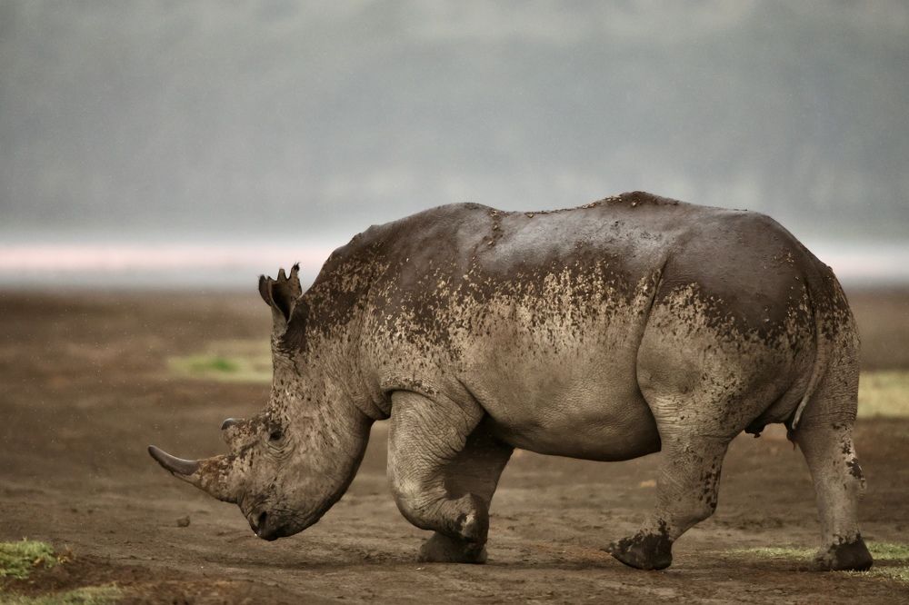 Фотография автора Leonid Golubkov