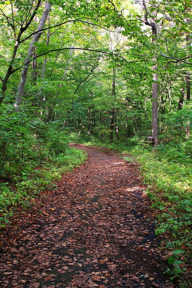 Фотография автора АЛЕКСАНДР ЦЫГЕЛЬНЮК