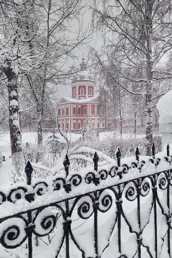 Фотография автора Тамара Караваева