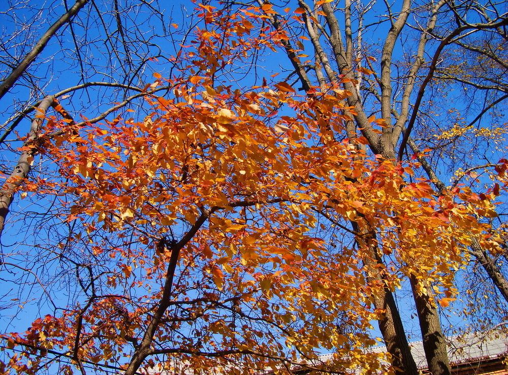 Фотография автора АЛЕКСАНДР ЦЫГЕЛЬНЮК