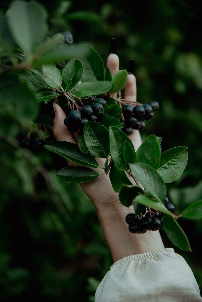 Фотография автора Елизавета Ковалева