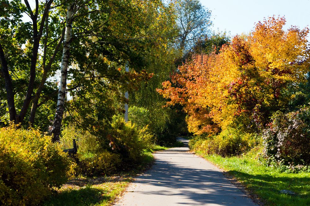 Photograph by Владимир Безбородов