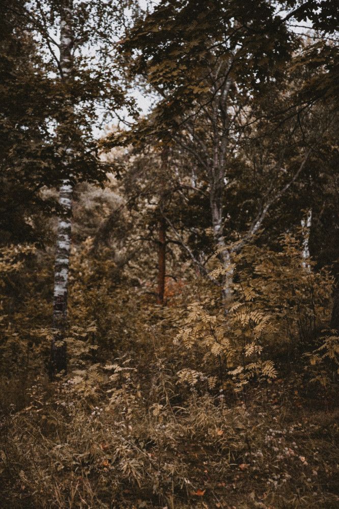 Photograph by Дарья Макаревич