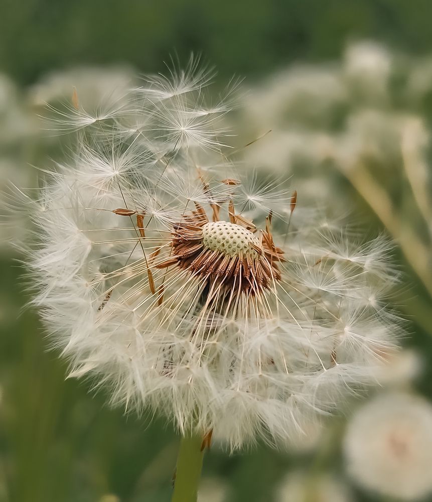 Photograph by Анастасия