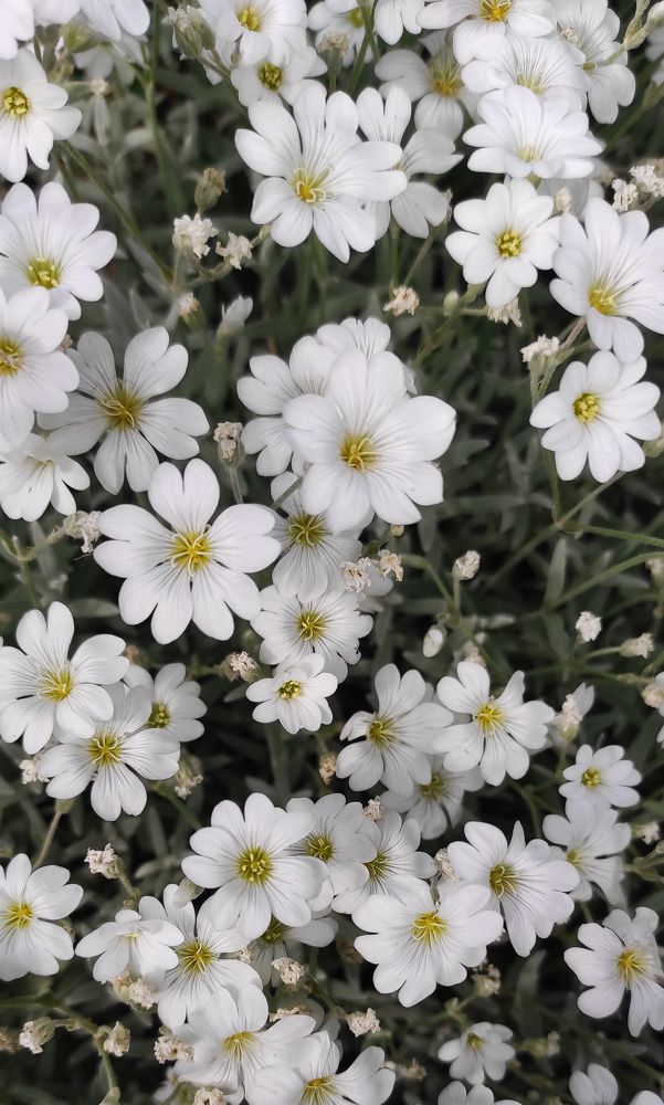 Photograph by Анастасия