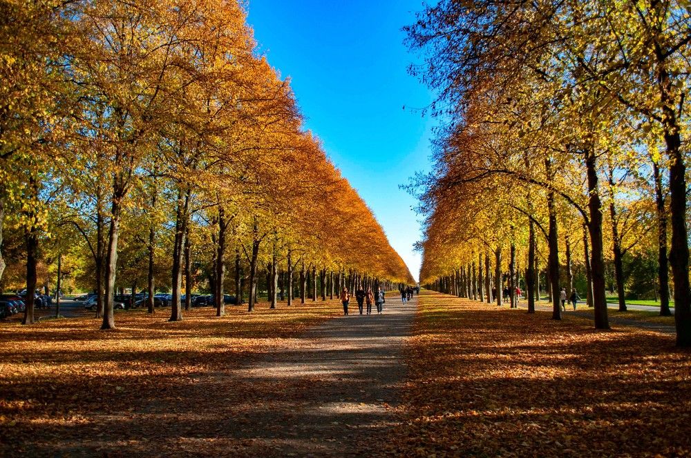 Photograph by Ованес Агарян