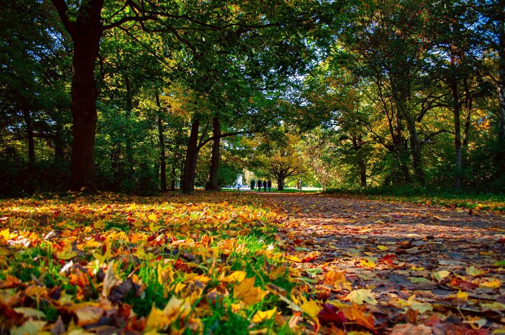 Photograph by Ованес Агарян