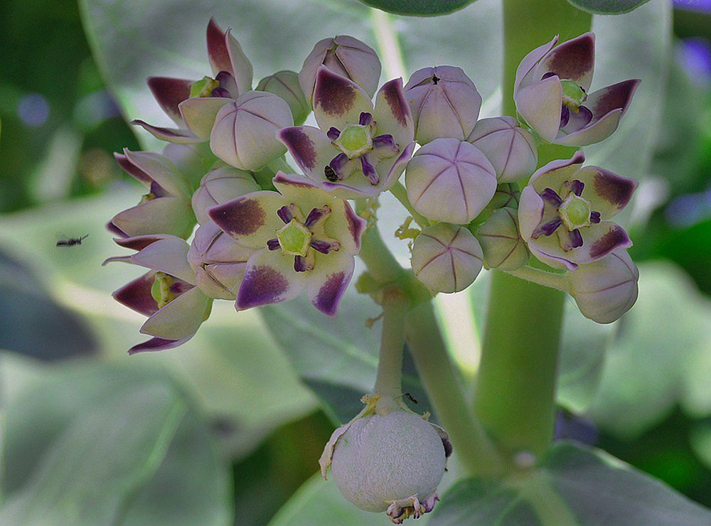 Photograph by Яков