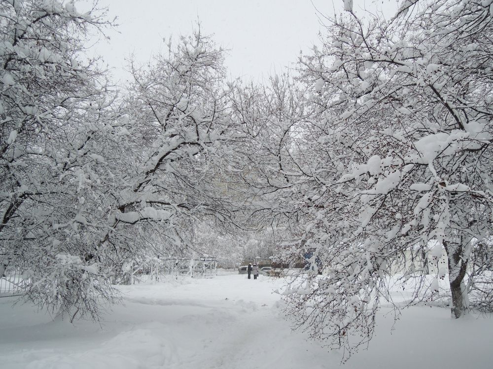 Photograph by Юлия Сахарова