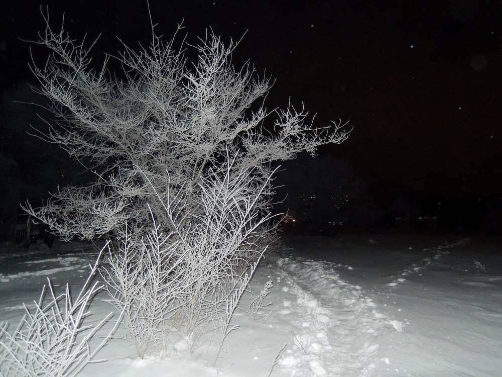 Photograph by Юлия Сахарова